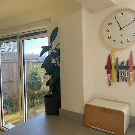 Stunning, Modern And Spacious House - Truro Ngoại thất bức ảnh